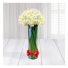Vase of Narcissus